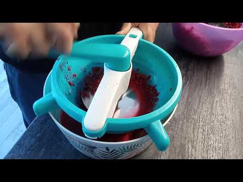 Видео: Моя любимая мельница "Фантазия" Tupperware! Перетитаем красную смородину прямо со стебельками!