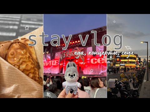 Видео: [ stay vlog ] dominATE: celebrATE, кошочки и прекрасный сеул