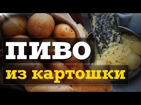 Видео: Пиво из КАРТОШКИ / Картофельбир / Бульбабир на iBrew 50 auto