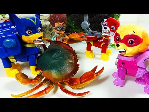 Видео: Щенячий Патруль новые серии КРАБ РОМЕО Герои в масках Развивающие Мультики для детей Игрушки PAW
