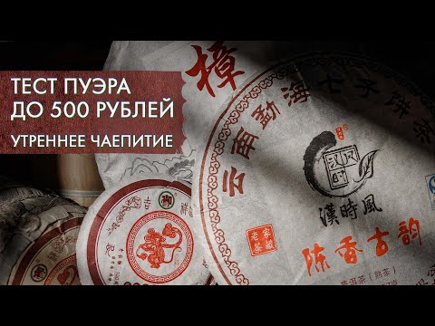 Видео: Какой ПУЭР взять до 500 рублей на маркетплейсах? | Стрим Art of Tea