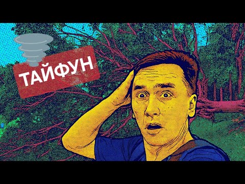 Видео: Тайфун прошел. Осталось это... 😱