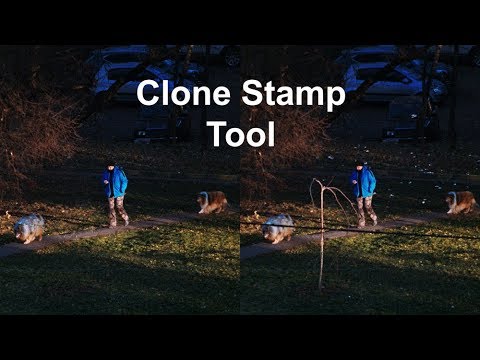 Видео: Clone Stamp Tool. Убираем мусор с фотографии