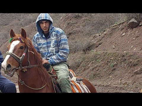 Видео: МУСОБИКАИ БУЗКАШИ | ТАВИЛДАРА - ЧИЛДАРА | НУРОБОД | 10.12.2023.