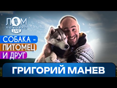 Видео: Григорий Манев: Единственный, кто всегда будет рядом – это собака / Ломовка Live выпуск 223