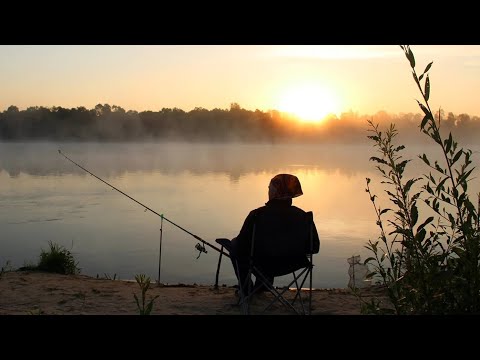Видео: Рыбалка на Дунае, интересные моменты #fishing #рыбалка #fish #subscribe 