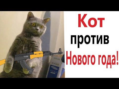 Видео: Лютые приколы. КОТ ПРОТИВ НОВОГО ГОДА!!! САМОЕ смешное видео! Засмеялся проиграл! - Domi Show!