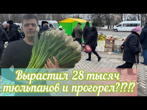 Видео: Вырастил 28 тысяч тюльпанов и прогорел !?!?!