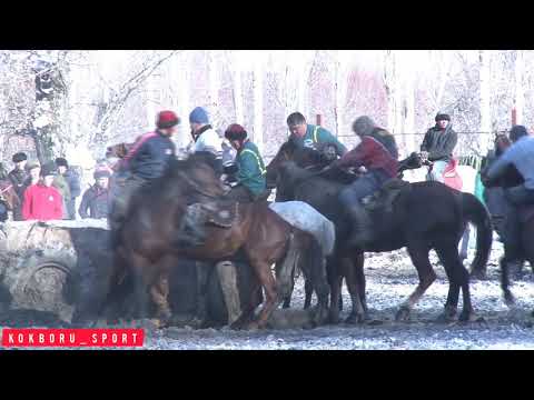 Видео: Көкбөрү боюнча Өзгөн районунун чемпионаты/ Заргер & Өзгөн Рес.