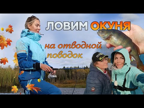 Видео: НА РЫБАЛКУ ЗА ОСЕННИМ ОКУНЕМ С ПОДРУГОЙ! Ловим на отводной поводок с лодки!