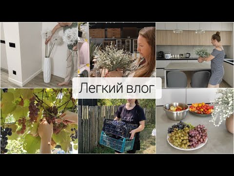 Видео: #177  ДЕКОР В БУДИНОК/ДАРИ осені/ НА ДАЧІ/ лісові ПРИГОДИ