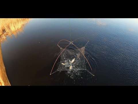 Видео: УХ!!! ВОТ ЭТО ДА! АЖ РУКИ ЗАТРЯСЛИСЬ! КРУПНЫЕ ЯЗИ, МОНСТРЫ-КАРАСИ, ПЛОТВА. Рыбалка на паук-подъёмник