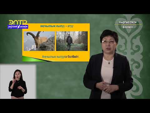 Видео: 6-класс |  Кыргызcкий язык |  Жаныбарлар дүйнөсү
