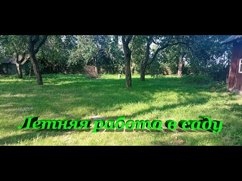 Видео: Летняя работа в саду! Обзор