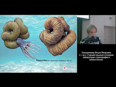 Видео: Лекция "Удивительный мир амонитов"