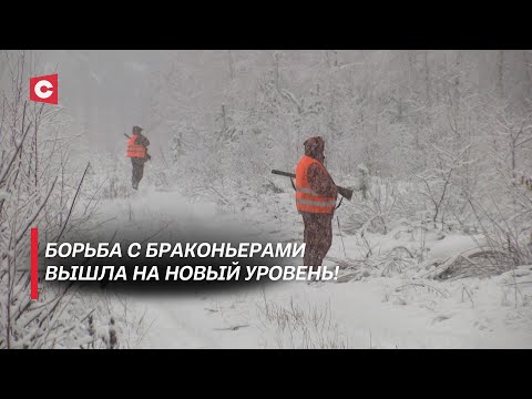 Видео: Из охотника – в добычу | Браконьеры в страхе | Какие последствия ждут нелегальных добытчиков дичи