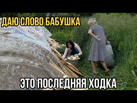 Видео: Почему бабушка просит остановиться, что мы сделали?