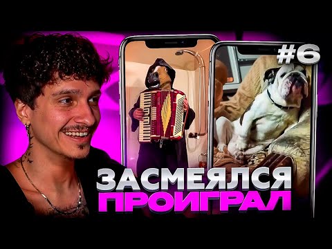 Видео: МЕЛЛШЕР ПЫТАЕТСЯ НЕ ЗАСМЕЯТЬСЯ С ТИКТОКОВ ОТ ПОДПИСЧИКОВ #6 | ЗАСМЕЯЛСЯ = ЗАПЛАТИЛ