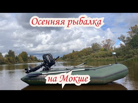 Видео: Осенняя рыбалка на голавля на Мокше