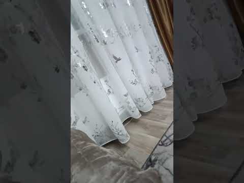 Видео: 2 ноября 2025 г.