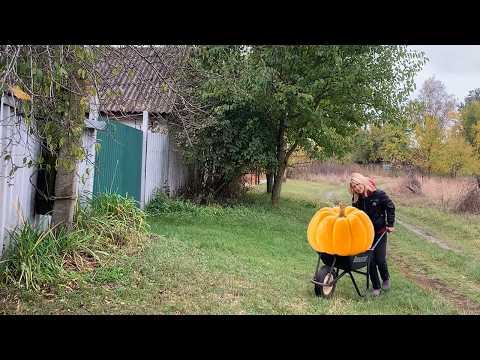 Видео: Моя счастливая, самостоятельная жизнь в заброшенной деревне