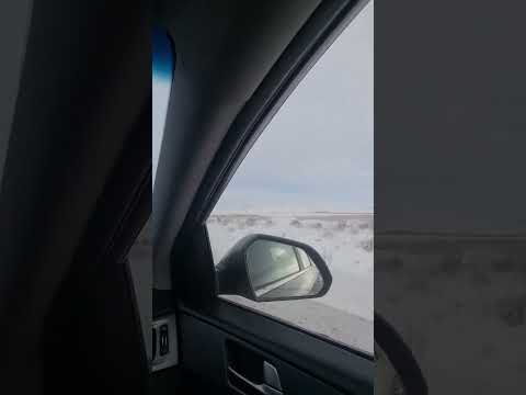 Видео: Келші біздің Құланға