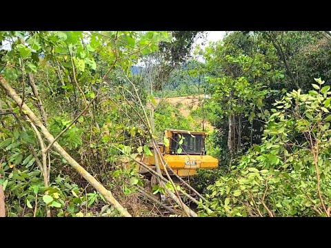 Видео: Этот бульдозер CAT D7R выглядит очень просто, чтобы превратить лес в плантацию