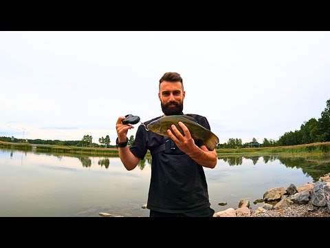 Видео: ЯК ЛОВИТИ ЛИНЯ?ДЕ ШУКАТИ ЛИНЯ?НА що ЛОВИТИ ЛИНЯ?РИБАЛКА на ЛИНЯ!(Eng, FІ SUB)