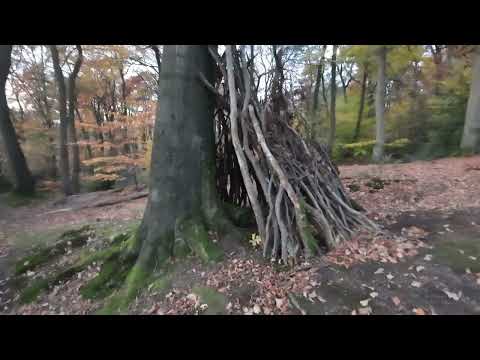 Видео: 3 ч. Лес в Германии  в котором можно встретить диких животных и наткнуться на схроны  охотников