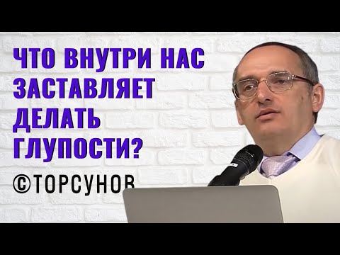 Видео: Что внутри нас заставляет делать глупости? Торсунов лекции