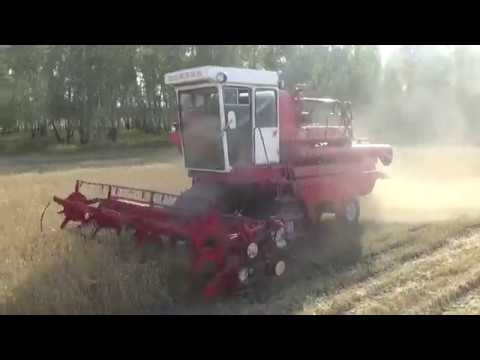 Видео: Уборка урожая 2017. Енисей-1200-1 и Мтз-80