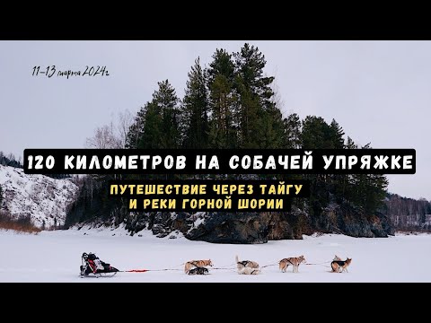 Видео: На собаках сквозь Сибирскую тайгу, 120км через горы и реки Шории.