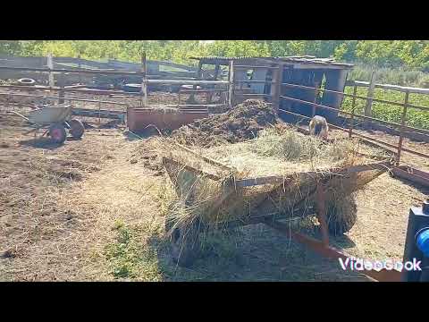 Видео: продаю минипогрузчик, ссылка в описании.