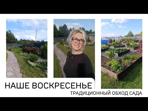 Видео: Тихий сентябрьский день в нашем саду. Полное погружение