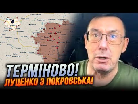 Видео: 🔴ЛУЦЕНКО: Увиденное в Покровске меня поразило! Власть провалила главную задачу! СИТУАЦИЯ СЛОЖНАЯ