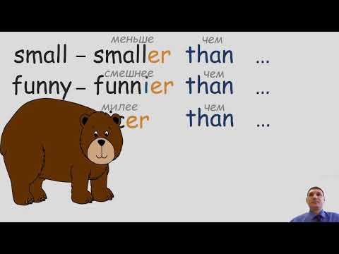 Видео: Урок 26 (урок 8а "Wild about Animals!",  модуль 4 "At the Zoo!", учебник Spotlight 4 класс)