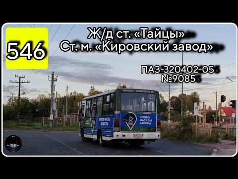Видео: ЛО, автобус №546 от ж/д ст. Тайцы до ст. м. Кировский завод | ПАЗ-320402-05 №9085