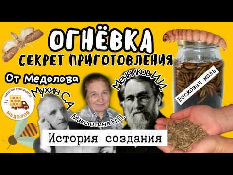Видео: Готовим экстракт ОГНЕВКИ (восковой моли) личинки, ПЖВМ. История, пропорции, концентрация, рецепт