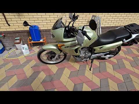 Видео: 24 июля 2025 г.