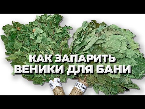 Видео: Как запарить веник для бани? Какой способ лучше? Запариваем берёзовые и дубовые веники.