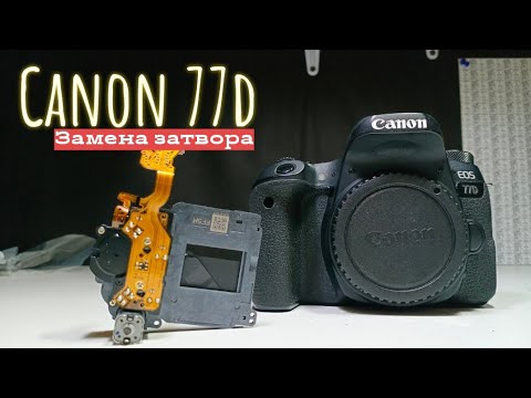 Видео: canon eos 77d замена затвора