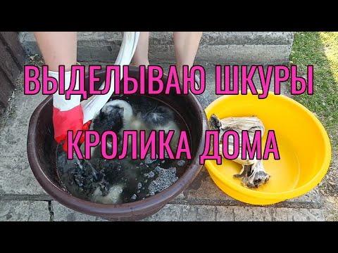 Видео: Выделка шкур кролика в домашних условиях