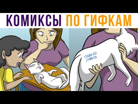 Видео: Комиксы по гифкам. СРОК ГОДНОСТИ КОТА))) | Мемозг #512