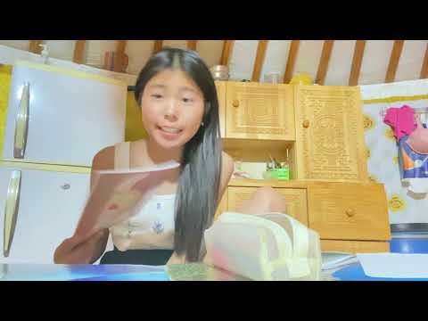 Видео: Миний хүүхдэд ангил хэл бичэж өгөх бас ангийн нэрс бичсэн