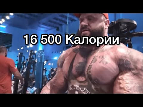 Видео: Пие вода от Рилските езера! Размер: Гардероб.