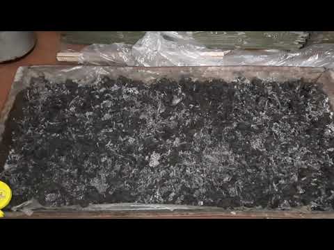 Видео: И так фаза ШОК! Следующий этап нашего грибоводства...