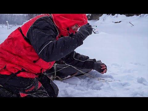 Видео: Плотва на чертика и мормышку зимой | Раздача в глухозимье | Рыбалка на плотву