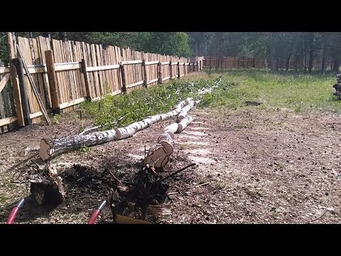 Видео: Ручная корчёвка, часть 2, что дальше: брёвна, столбики, дрова, веники.