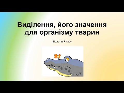 Видео: Біологія. Тварини. Виділення та його значення у тварин