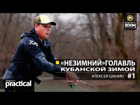 Видео: "Незимний" голавль кубанской зимой. Алексей Шанин. Часть 1. Anglers Practical